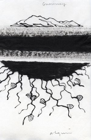 2156-002-251211114406